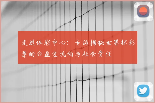走进体彩中心:专访揭秘世界杯彩票的公益金流向与社会责任