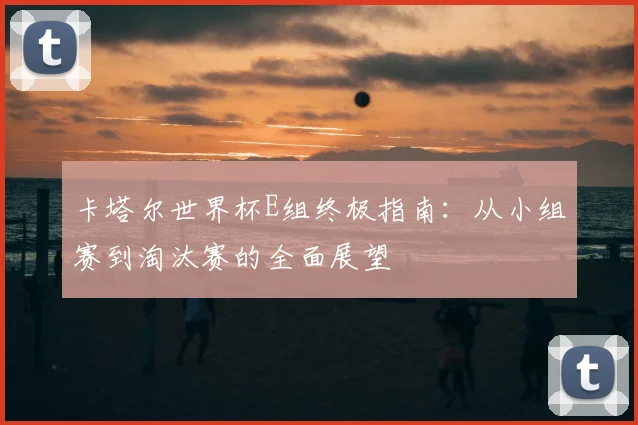卡塔尔世界杯E组终极指南:从小组赛到淘汰赛的全面展望