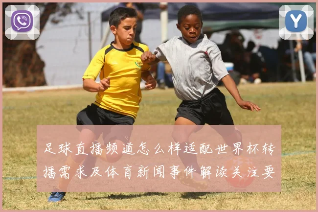 足球直播频道怎么样适配世界杯转播需求及体育新闻事件解读关注要点
