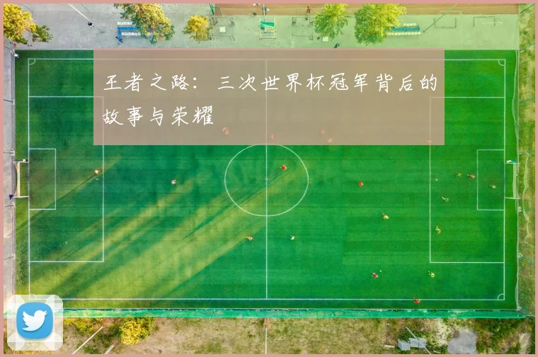 王者之路:三次世界杯冠军背后的故事与荣耀