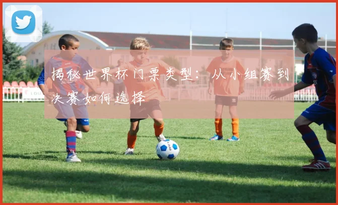 揭秘世界杯门票类型:从小组赛到决赛如何选择