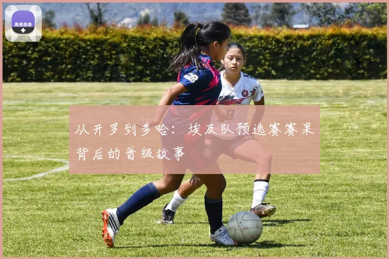 从开罗到多哈:埃及队预选赛赛果背后的晋级故事