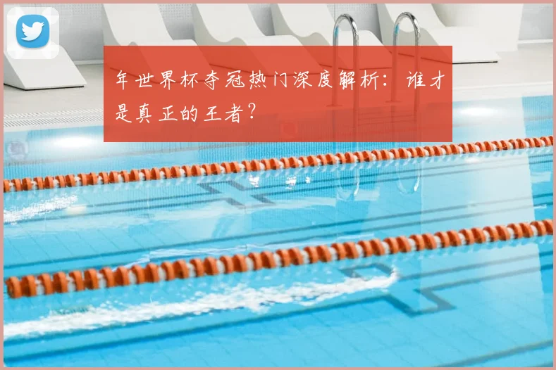 年世界杯夺冠热门深度解析:谁才是真正的王者?