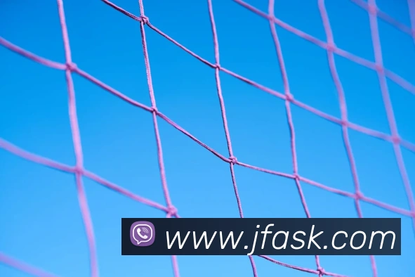 App Interface Preview